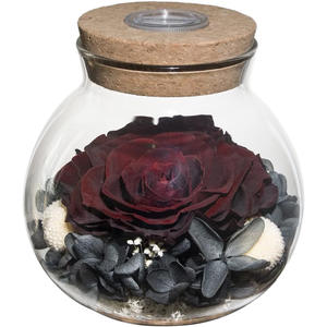 Bouteille à vœux Rose Éternelle avec couvercle en verre créatif, veilleuse décorative, cadeau d'anniversaire Tanabata, dégradé multicolore - Product Image 6