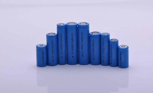 Lifepo4 cylindrical cell 32650 32700 5000mAh 6000mAh 3.2V Lifepo4 <strong>battery</strong> cells for 72V <strong>battery</strong> Pack - Product Image 5