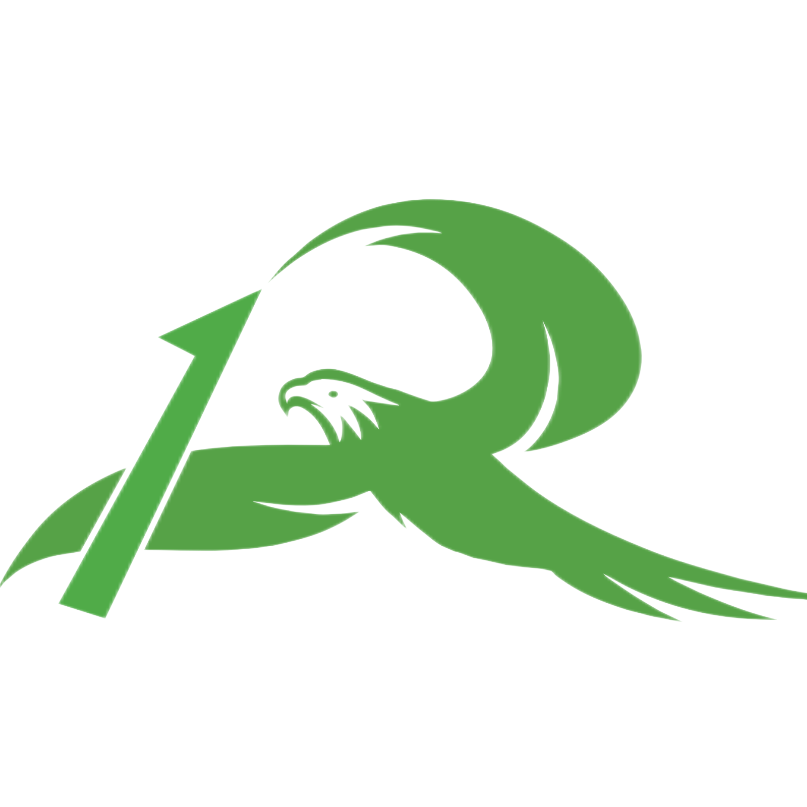 Lianyungang Rolebor Chemicals Co., Ltd. logo