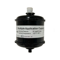 Filter Tinta Kapsul PALL Hitam Efisiensi Tinggi Asli 5um 10um 20um Mikron untuk Printer Inkjet Solvent Filter UV Besar