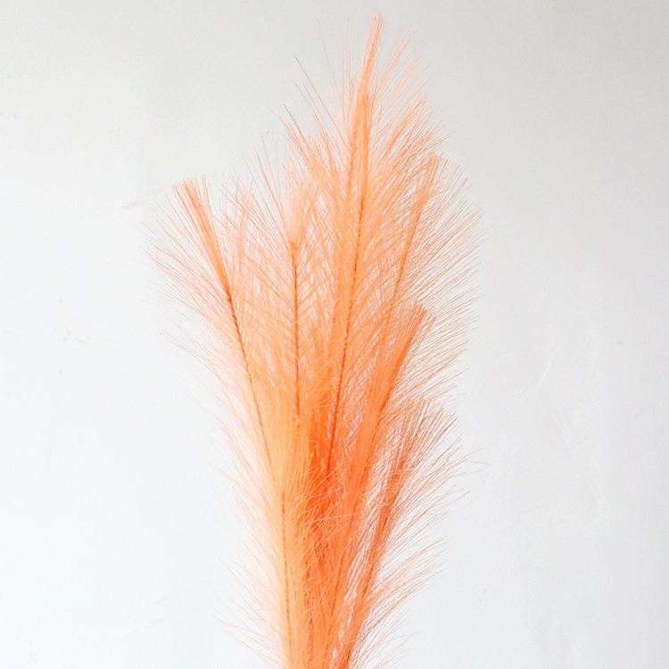 สีส้ม