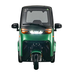 Tricycle électrique Yunlong EEC L2e E-Cabin-H1 avec moteur 1,5 kW, batterie au plomb-acide 60 V 58 Ah, 2 places, porte arrière ouvrable, autonomie maximale de <span class=keywords><strong>80</strong></span> km - Product Image 3