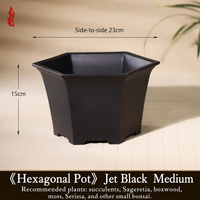 Macetas Hexagonales Cuadradas de Resina Estilo Chino para Orquídeas Phalaenopsis, 30 cm de Calibre, para Uso en Escritorio, Venta Directa de Fábrica