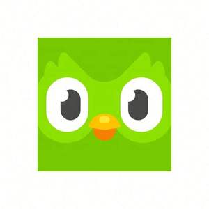 Cuenta Premium Duolingo Pro 1 Año, Activa Tu Propia Cuenta, Aplicable Globalmente en Todo el Mundo - Product Image 3