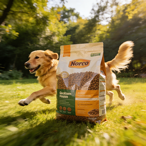 ถุงบรรจุภัณฑ์อาหารสัตว์เลี้ยงเกรดอาหาร ปิดผนึกได้ กันความชื้น สำหรับอาหารสุนัขและแมว - Product Image 4