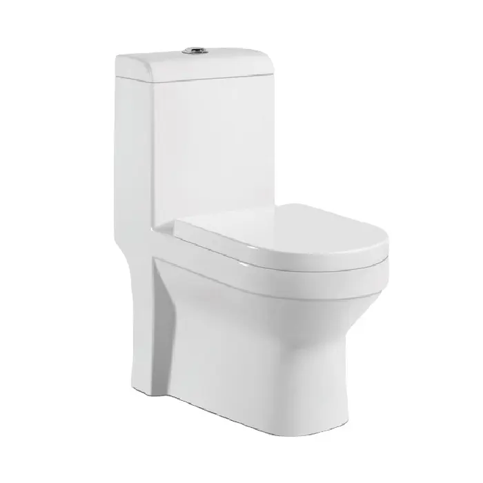 Modern Kamar Mandi Lantai Dipasang Ganda Siram Siphonic Modern Wc Keramik Commode Saniter Satu Potong Toilet Mangkuk