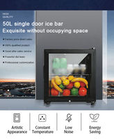 Mini-réfrigérateur à vin de style moderne, écologique, de petite capacité (50L), à porte simple, pour hôtel, maison ou usage domestique.