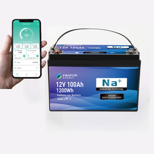 Reliable Safe <b>Deep</b> <b>Cycle</b> <b>12V</b> 100Ah Sodium-Ion <b>Battery</b> for Boat - Product Image 3