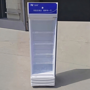 Réfrigérateur commercial à porte unique H 288L, vitrine à glace, réfrigérateur vertical pour bière <span class=keywords><strong>Redbull</strong></span>, armoires à boissons, <span class=keywords><strong>prix</strong></span> d'usine - Product Image 4