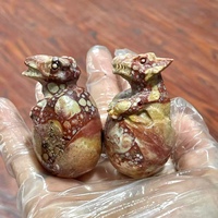 Agate Dragon Vein Naturelle de Guérison, Œuf de Dragon Sculpté, Pierre de Poche pour la Maison et la Décoration, Vente en Gros Sharing Crystal