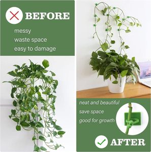 Clip de fixation de vigne en rotin auto-adhésif en plastique moderne <span class=keywords><strong>pour</strong></span> plantes, stents et pots de fleurs - Product Image 3