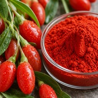 Extrait de baies de Goji de qualité alimentaire naturelle en poudre, rapport 10:1, emballé sous vide UV pour la santé des yeux