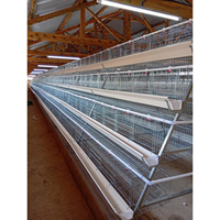 Système complet de ferme avicole de grande capacité pour 20 000 poulets de type A, avec équipement de poulailler, d'alimentation, d'abreuvement et de ligne de production