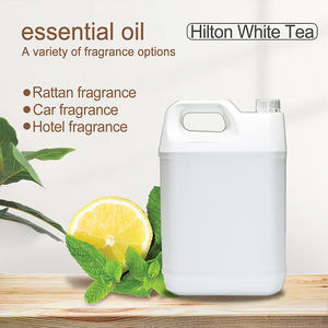Pabrik Grosir 5L Peralatan Aroma Minyak Esensial HVAC Pewangi Minyak <span class=keywords><strong>Diffuser</strong></span> Aroma Berbagai Aroma Terkenal - Product Image 3
