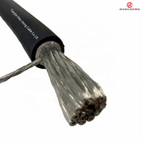 JBQ High Temperature Motor Lead Cable Oil Resistant Flexible 0.66/1.14kV for Industrial Motors