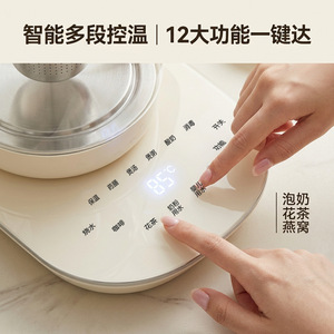 Health Pot Glass Tea Maker With Lid Milky Color 17.5x23.5x22.5cm For Household Use - Product Image 4