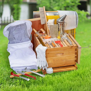 Kit de démarrage pour apiculteurs : Ruche à 10 cadres et fournitures, Ruche en cire d'abeille 100% naturelle - Product Image 2