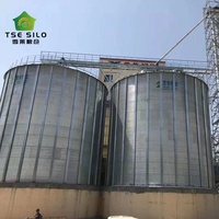 Büyük Ölçekli Düz Tabanlı Tahıl Depolama Silosu Oluklu Galvaniz Çelikten Tahıl Deposu ve Lojistik İçin 3000-20000 Ton