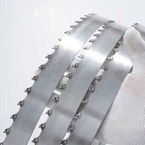 <span class=keywords><strong>Lame</strong></span> <span class=keywords><strong>de</strong></span> scierie EJ 1-1/4\" x 165\" - Compatible OEM pour Wood-Mizer LT25/LT30 & TimberKing 1600/<span class=keywords><strong>2000</strong></span> - Carbure pour bois dur, rendement maximal - Product Image 1