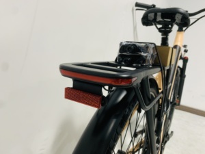 Roadsan Chicago C9 2024, Bicicleta Eléctrica de Una Velocidad con Transmisión por Correa, Pantalla Integrada, Batería de Litio Digital de 36V 250W 10AH, Chicago C9 Ci - Product Image 6