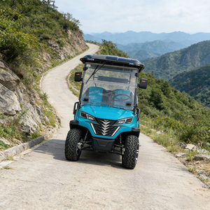 WOLAN Chariot de golf électrique stable 6 places avec accoudoirs pour personnes âgées, idéal pour les centres communautaires - Product Image 3