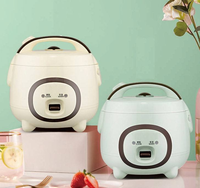 Oulik Cuiseur à riz électrique multifonction portable et automatique en plastique avec tasse doseuse, revêtement antiadhésif et contrôle numérique du minuterie