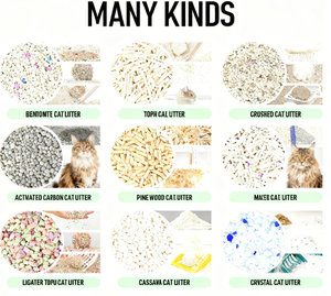 OEM Umweltfreundliche Staubfreie 100% Natürliche Katzenstreu Schnell Klumpend Grau Stark Klumpbildend Bentonit Bentonit-Katzenstreu - Product Image 5