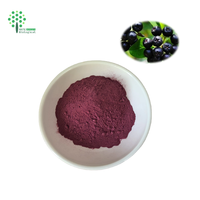 Puur Natuurlijke Zwarte Aronia Appelbes Fruitpoeder