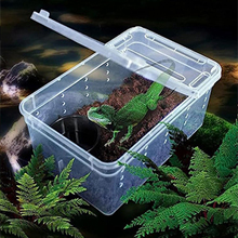 Kit de capture d'insectes pour enfants Little Live Pets : Ferme à fourmis, piège à crapauds, habitat pour grenouilles, terrarium pour tortues et reptiles - Product Image 2