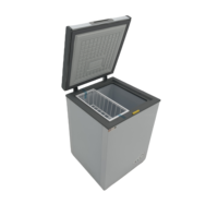 Congélateur coffre portable haute performance de 100 L