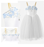Robe de tutu de ballet romantique bleue et blanche, variation Casse-Noisette Fée des Neiges, tenue de scène professionnelle