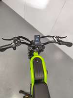 Vélo électrique de style vintage, pneus larges de 20 pouces, 500W, 48V16Ah, autonomie de 40-50 km, frein à disque, tout-terrain, couleur personnalisée