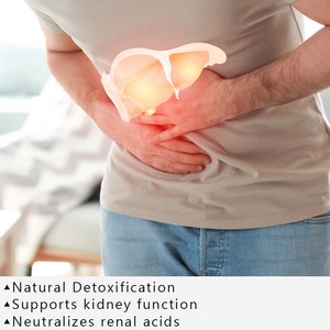 Thận bổ sung sức khỏe làm sạch và nuôi dưỡng thận Hỗ trợ cân bằng đường tiết niệu thảo dược thận Tablet - Product Image 2