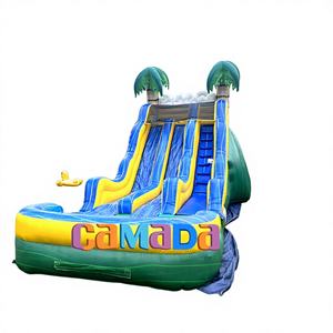 สไลเดอร์น้ำเป่าลมแบบกำหนดเองได้สำหรับใช้ในบ้านและโรงเรียนกลางแจ้ง - มีให้เช่า - Product Image 1