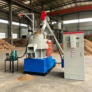 Nouvelle conception de machine à granulés de bois faite maison, machine à granulés de bois durable, petite machine à granulés de biomasse pour la maison - Product Image 2