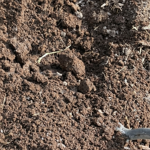Estiércol orgánico rico en nutrientes y minerales Vermicompost a granel para viveros y jardines Cultivos profesionales de compost orgánico - Product Image 1
