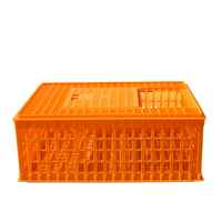 Caisse de Transport en Plastique pour Volaille, Poulets, Canards, Oies, Pigeons, Blanc Orange Jaune