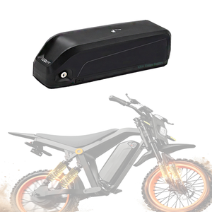Baterai Sepeda Hailong Downtube 48V 20Ah 250W/500W/750W/1000W 30-50A BMS untuk Konversi Sepeda Listrik, Sepeda Kota, E-bike - Product Image 5
