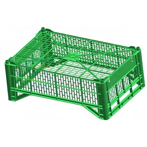 แม่พิมพ์กล่องพลาสติกคุณภาพสูงสำหรับผลิตกล่องใส่ผลไม้ ตะกร้าผัก กล่องนม และภาชนะอื่นๆ โดยผู้ผลิตแม่พิมพ์ - Product Image 4