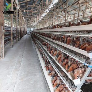 Cage à poulets de type A <span class=keywords><strong>pour</strong></span> 5000 oiseaux, avec système d'abreuvement entièrement automatique, <span class=keywords><strong>pour</strong></span> élevage avicole en Tanzanie - Product Image 6