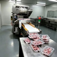 Detektor Logam Makanan TYTSS Sistem Deteksi Multi Frekuensi untuk Lini Produksi Minuman dan Makanan Kaleng Efek Material Otomatis
