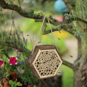 Maison hexagonale d'abeille d'hôtel d'abeille sauvage avec la boucle pour accrocher - Product Image 2