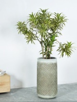 Pot de fleurs de style chinois de grande taille pour décoration intérieure/extérieure en argile de magnésium avec motifs floraux et plantes vertes
