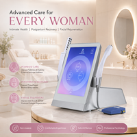 Appareil de rajeunissement intime et de lifting facial 2 en 1, équipement de beauté pour clinique esthétique privée, machine de resserrement vaginal