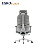 EGROspace Usine Professionnelle de Luxe Fauteuil de Direction Ergonomique à Dossier Haut Chaise de Bureau en Maille