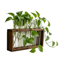 Support mural en bois pour vase hydroponique et plante Pothos – Décoration murale moderne et minimaliste pour salon et chambre à coucher