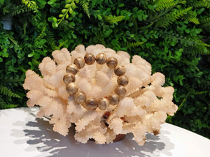 Pulsera de Lujo de Agarwood Natural Toc Bong, 10mm, 19 Cuentas Redondas, con Grano de Aceite Floral, Hecha a Mano, Accesorio de Madera Aromática - Product Image 3