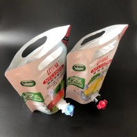 Sachet Doypack en aluminium imprimé sur mesure de 10 L avec bec verseur et valve papillon pour l'emballage de jus, de boissons et de liquides
