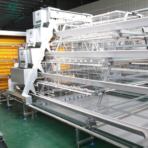 Equipo Moderno para Granjas Avícolas, Jaula de Batería de Alta Densidad de 4 Niveles, Jaula Automática Tipo A para Gallinas Ponedoras, para 10000-20000 Pollos - Product Image 5