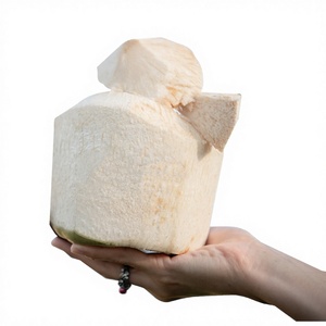 น้ำมะพร้าวพรีเมียม เคย์ ต้าลดาไทย เกรดเอ มะพร้าวอ่อนสดทั้งลูก ขนาด 18 ซม. หวานธรรมชาติ พร้อมดื่ม สดชื่นทุกเมื่อ - Product Image 1